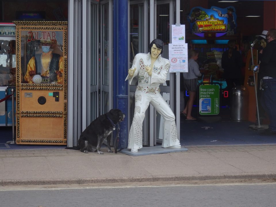 Look closely at the face of Zoltar
