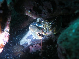 IMG_0094