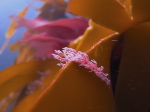 IMG_0309