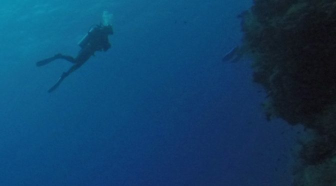 Southern Red Sea in September 2017